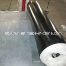 China Fabrik Viton / FKM Gummiblatt mit großer Qualität